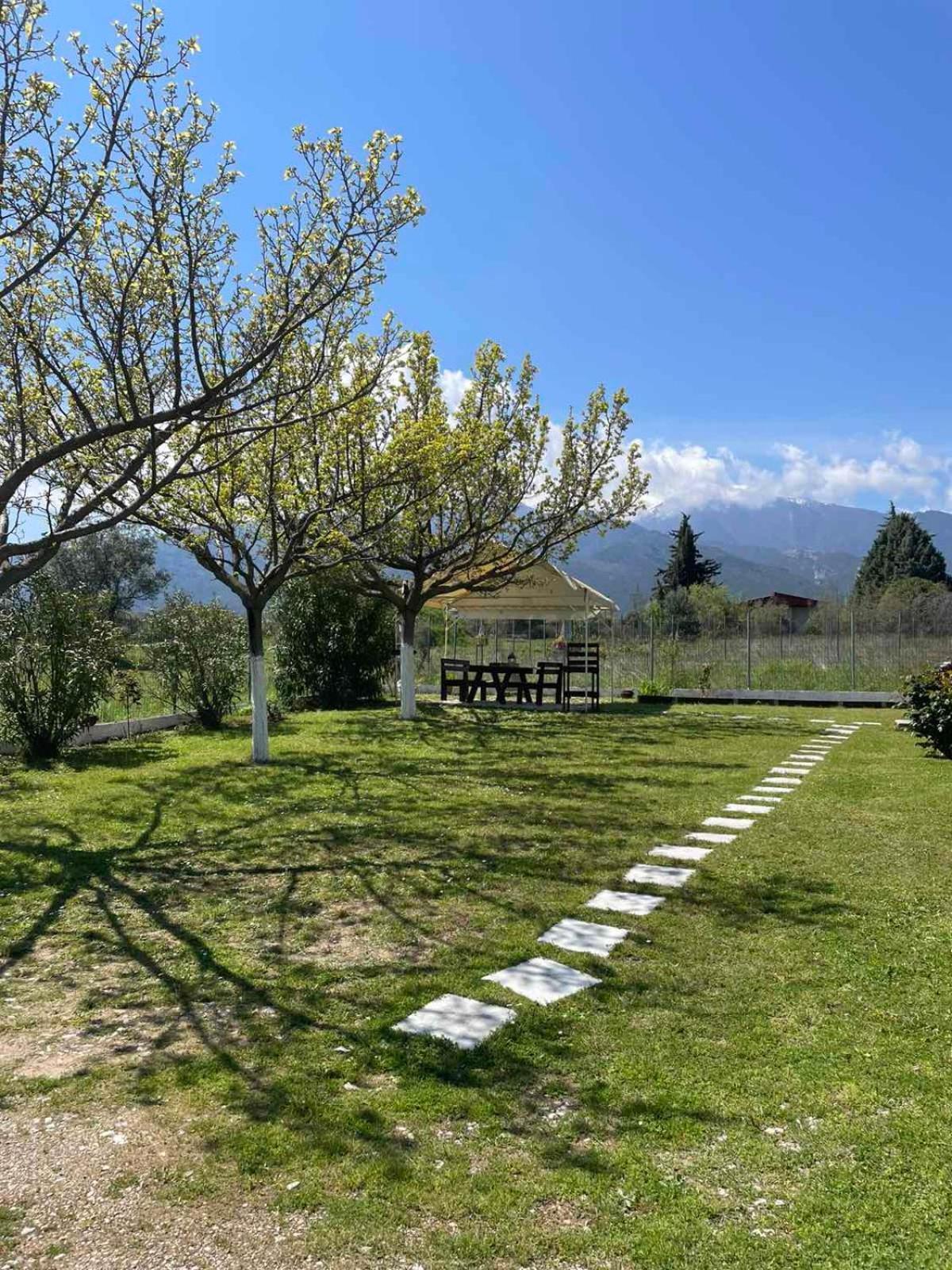 Plaka Luxury Villa Litochoro Exterior photo